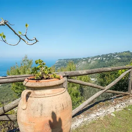 La Cisterna, Not Only Landscape